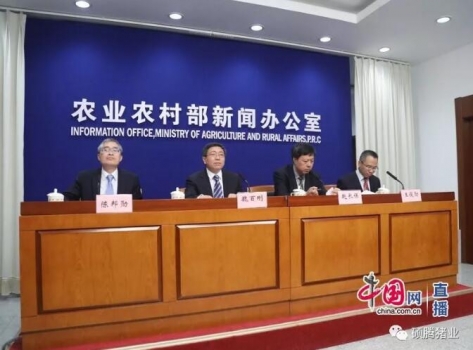 農(nóng)業(yè)農(nóng)村部：非洲豬瘟疫情累計捕殺生豬達到102萬頭！已安排6.3億元補助經(jīng)費