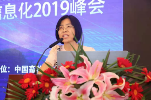 2019年上半年母豬料和仔豬料減少近25%，禽料增加超10%