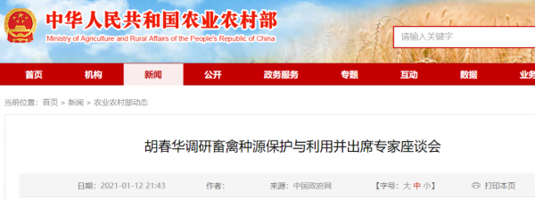 農(nóng)業(yè)農(nóng)村部：種豬和仔豬調(diào)運，符合條件，不得層層加碼禁運限運！打好種業(yè)翻身仗！